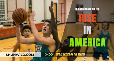 Basketball's Growing Popularity in America