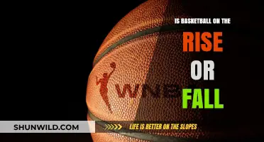 The Future of Basketball: Rise or Fall?