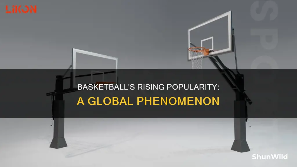 is basketball on the rise
