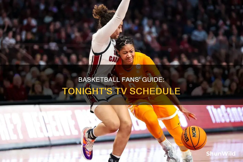 is basketball on tonight on tv