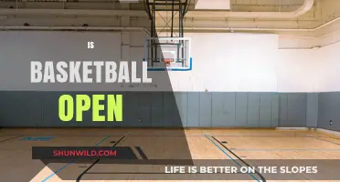 The Open-Air Basketball Court: A Community Hub
