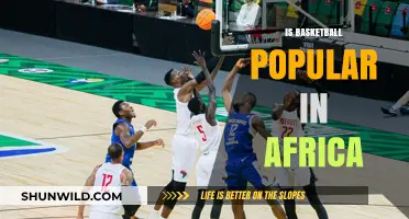 Basketball's Rising Popularity in Africa