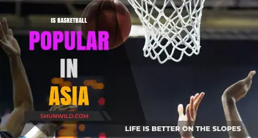 Basketball in Asia: A Rising Sport Sensation?