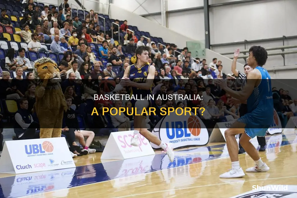 is basketball popular in australia