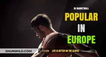 Basketball's Popularity in Europe: How Big Is It?