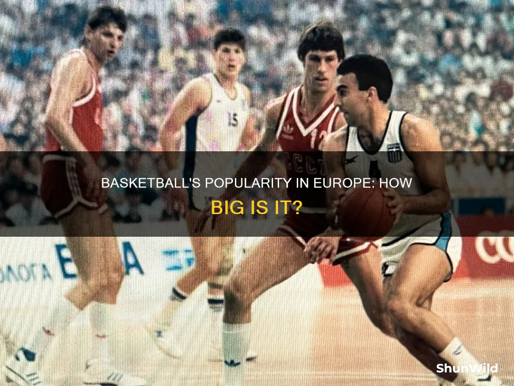 is basketball popular in europe