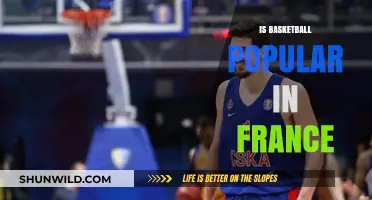 Basketball in France: A Popular Sport?