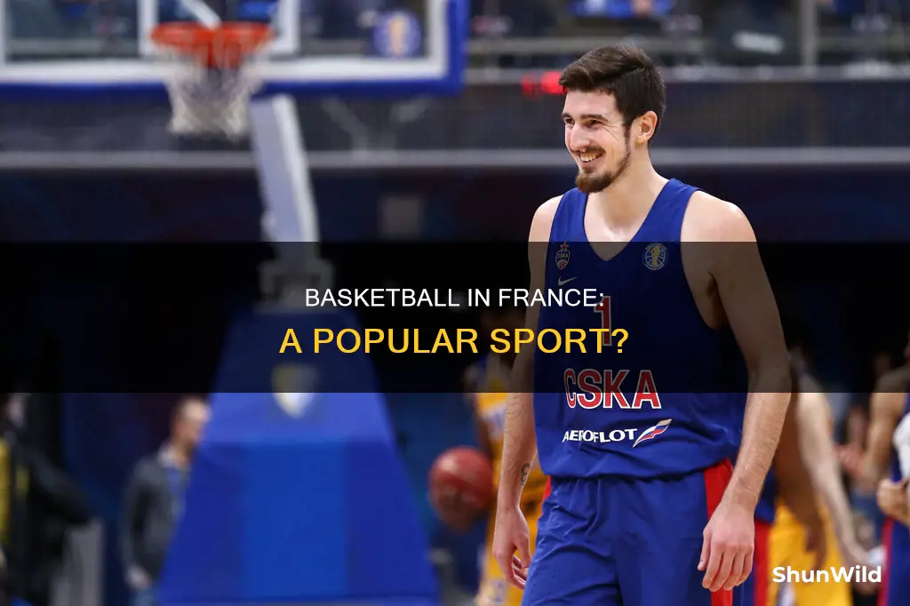 is basketball popular in france
