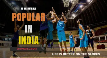 Basketball in India: A Rising Sport?