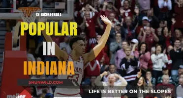 Hoosier Hysteria: Basketball's Home in Indiana