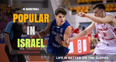 Basketball in Israel: A Popular Sport?