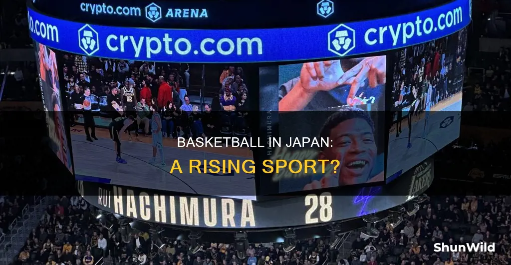is basketball popular in japan
