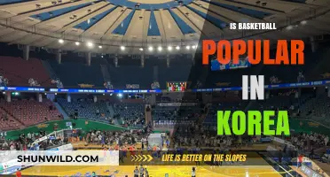 Basketball in Korea: A Rising Sport?