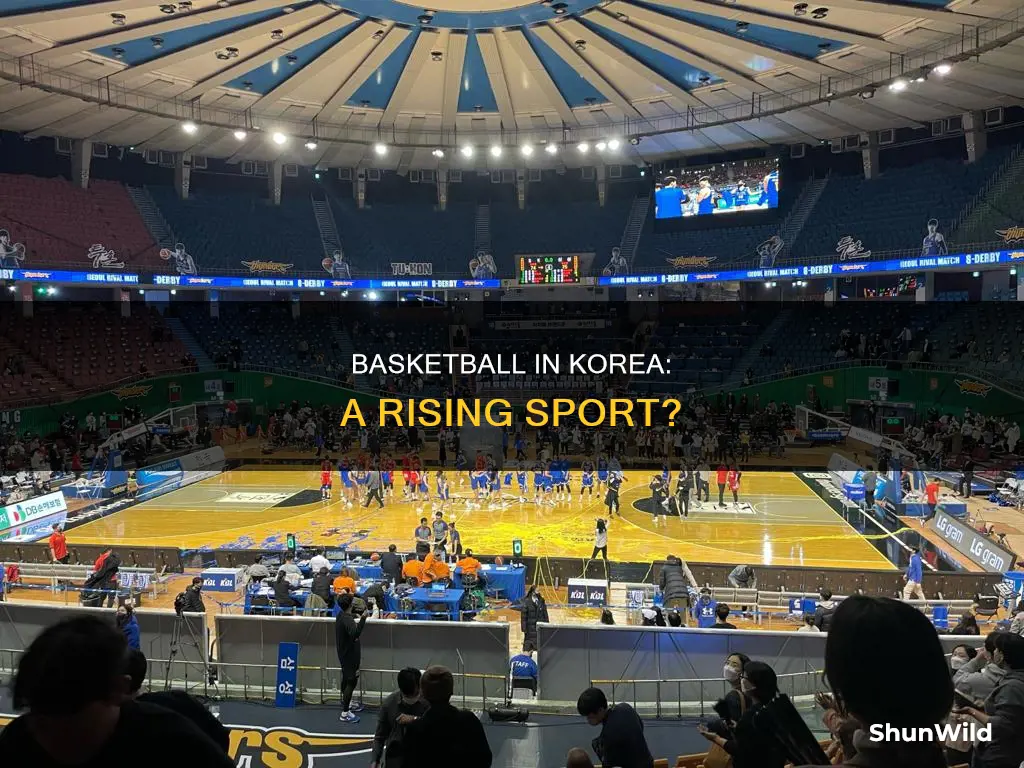 is basketball popular in korea