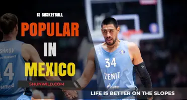 Basketball in Mexico: A Popular Sport?