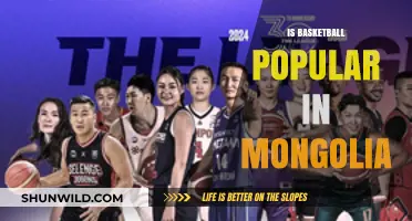 Basketball in Mongolia: A Rising Sport?