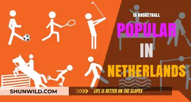 Basketball in the Netherlands: A Popular Sport?