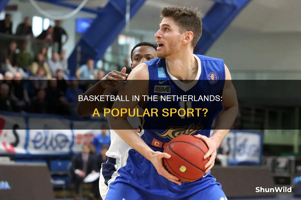 is basketball popular in netherlands
