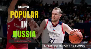 Russia's Basketball Scene: A Rising Sport?