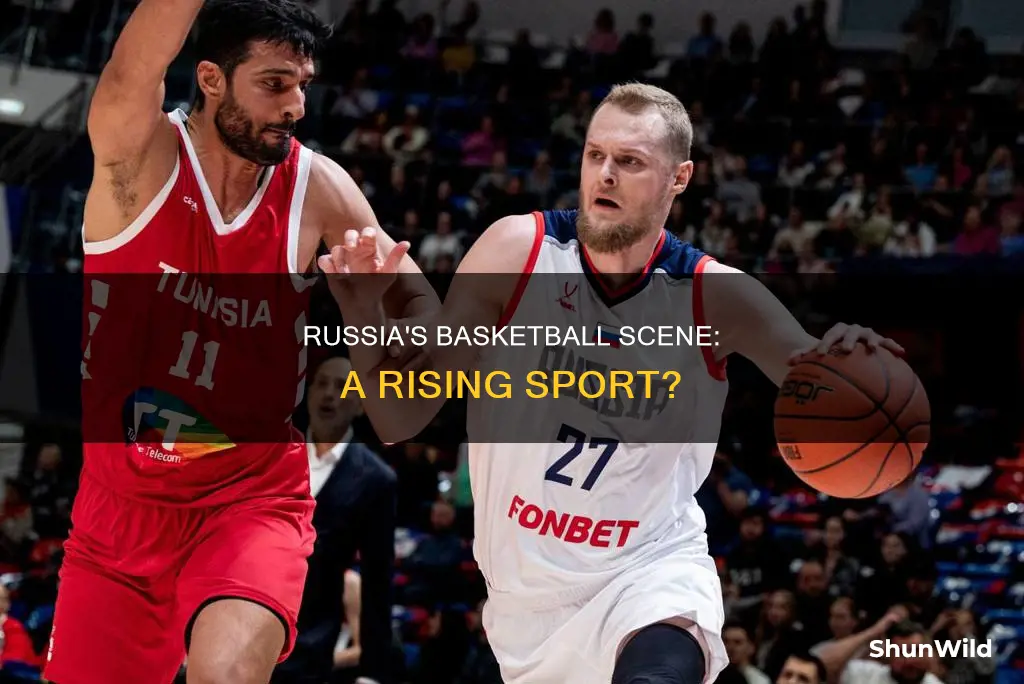 is basketball popular in russia