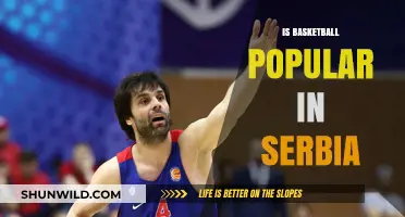 Serbia's Love for Basketball: A Cultural Phenomenon