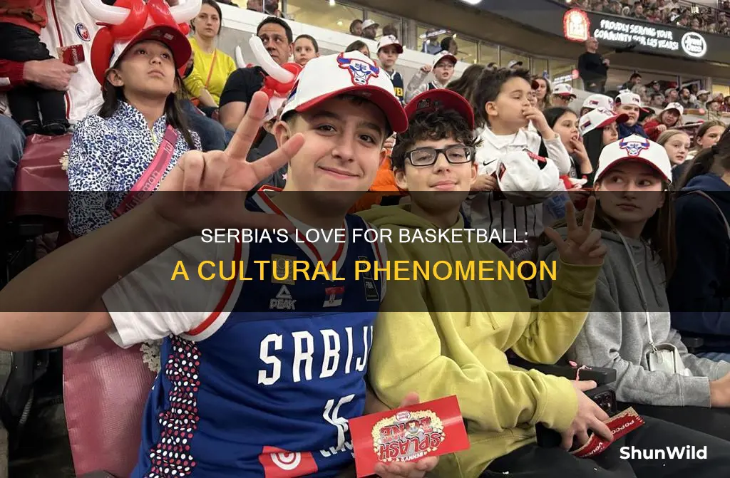 is basketball popular in serbia
