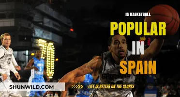 Basketball in Spain: A Popular Sport?