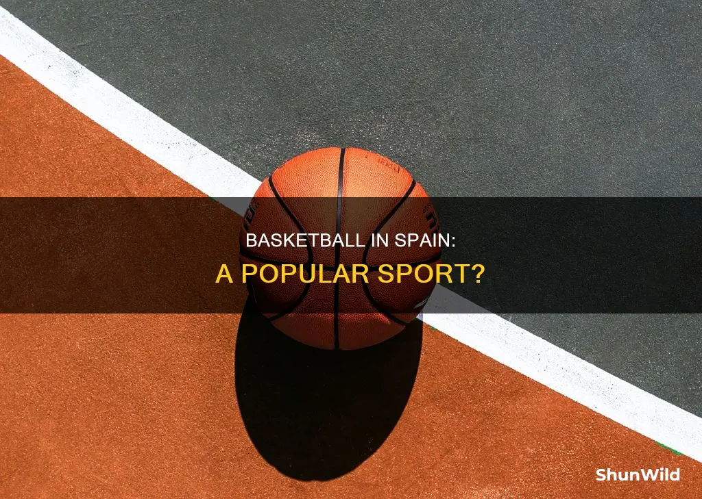 is basketball popular in spain