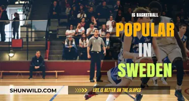 Basketball in Sweden: A Rising Sport?