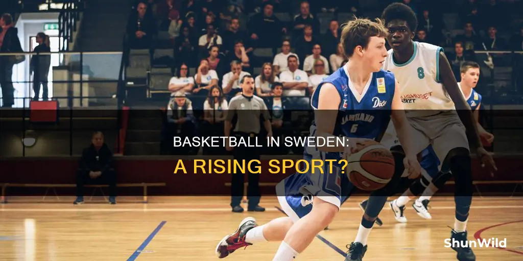 is basketball popular in sweden