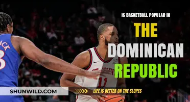 Basketball in the Dominican Republic: A Popular Sport?