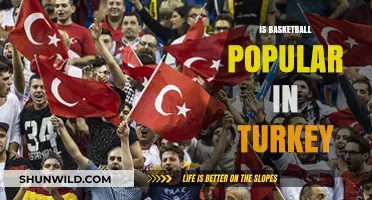 Basketball in Turkey: A Popular Sport?