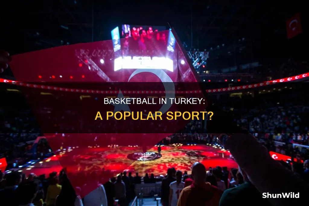 is basketball popular in turkey