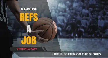Lucrative Career Path: Basketball Referees