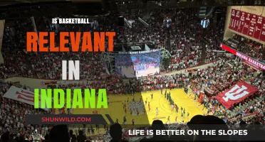 Hoosier Hysteria: Basketball's Relevance in Indiana