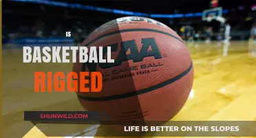 The NBA: Rigged or Real?