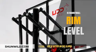 Basketball Rim Level: Myth or Reality?