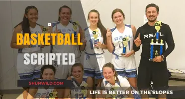 The Scripted Nature of Basketball: Fact or Fiction?