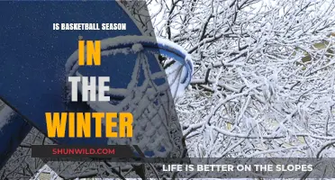 Winter Hoops: Basketball's Peak Season