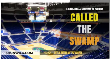 Florida's Basketball Stadium: Why the Swamp?