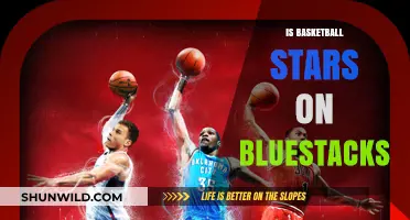 How to Play Basketball Stars on Bluestacks?