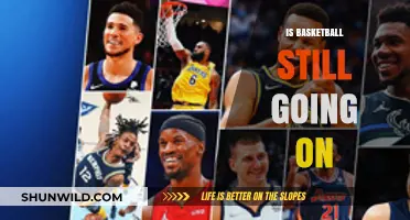 The Basketball Show Goes On