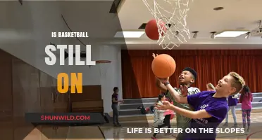 Basketball's Future: Will It Still Be Around?