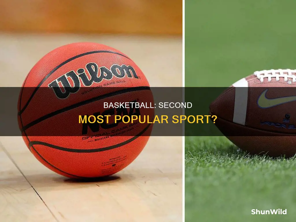 is basketball the 2nd most popular sport