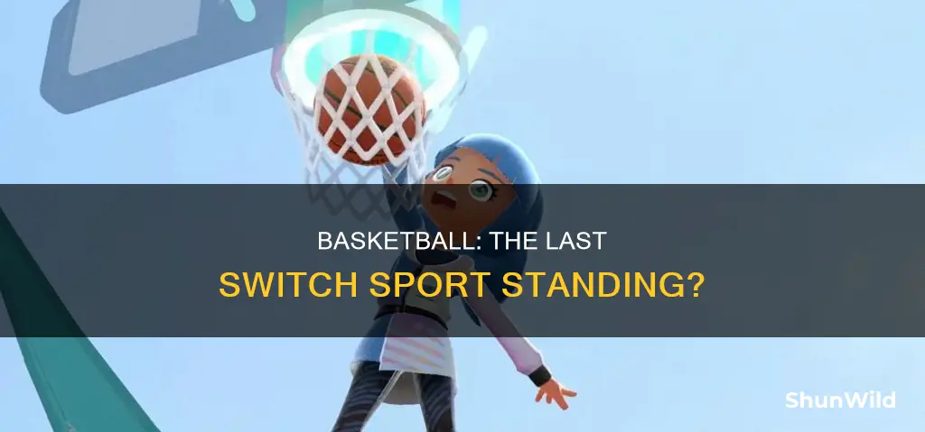 is basketball the last switch sporrt