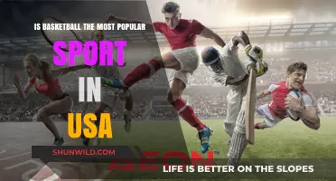 Basketball: America's Favorite Sport?