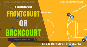 Where Do Basketball Wings Fit?