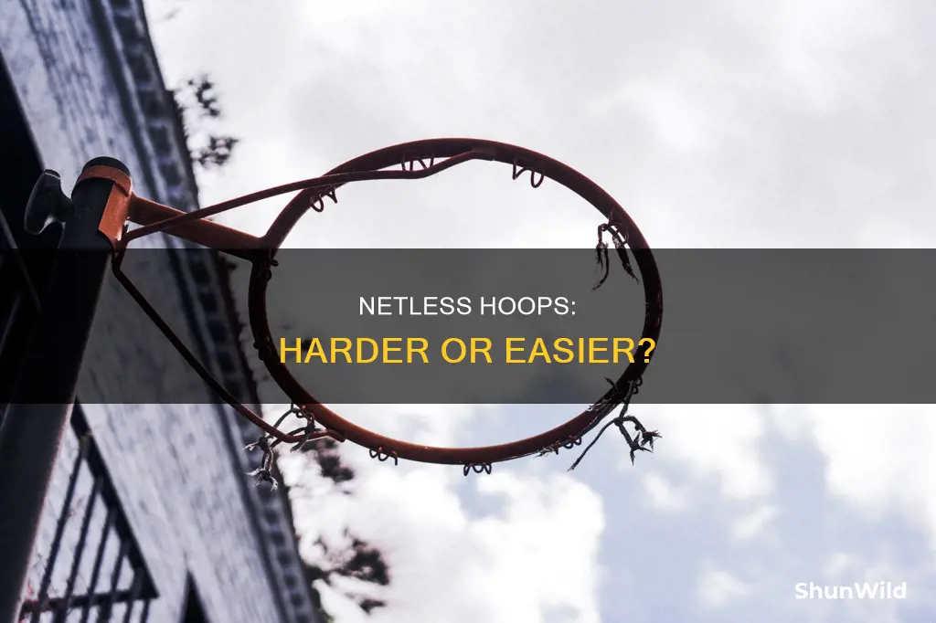 is basketball without a net harder