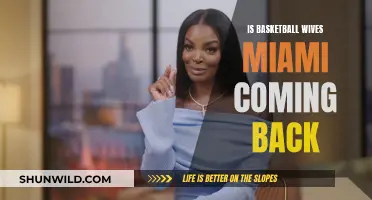 Basketball Wives Miami: Will the Show Return?
