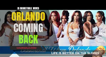 Basketball Wives Orlando: Will the Show Return?